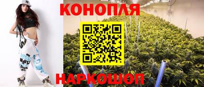 шишки Ипатово