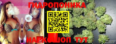 шишки Ипатово
