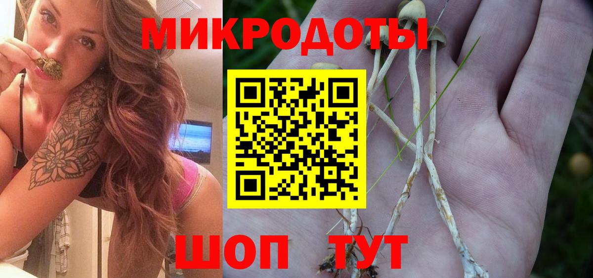 Дивногорск  Галлюциногенные грибы GOLDEN TEACHER  Галлюциногенные грибы MAGIC MUSHROOMS  Вход с VPN 